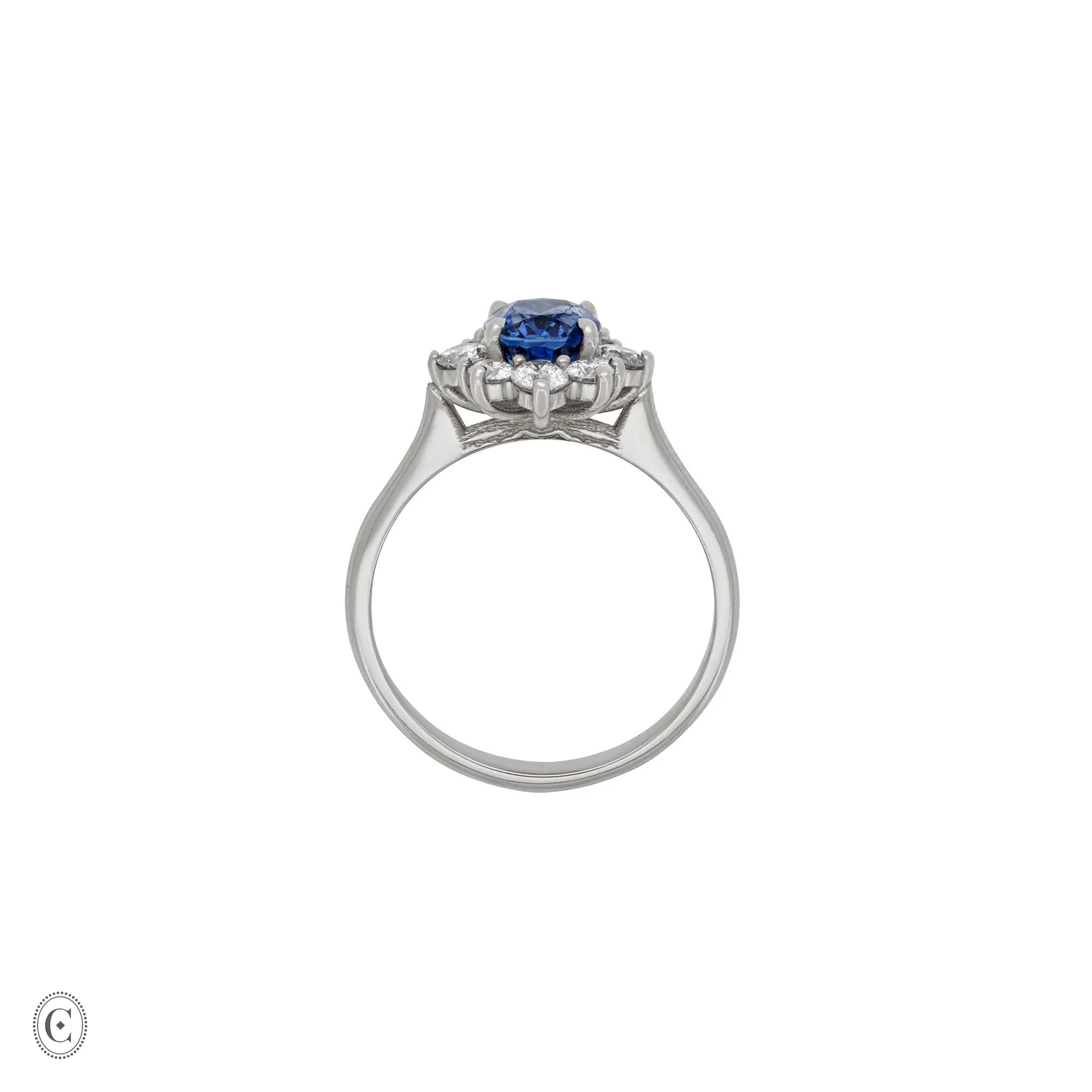 Princess Halo Sapphire & Diamond Engagement Ring - 14k White Gold Polished Band - Image 4